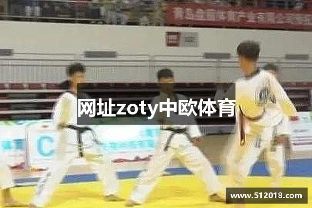 网址zoty中欧体育